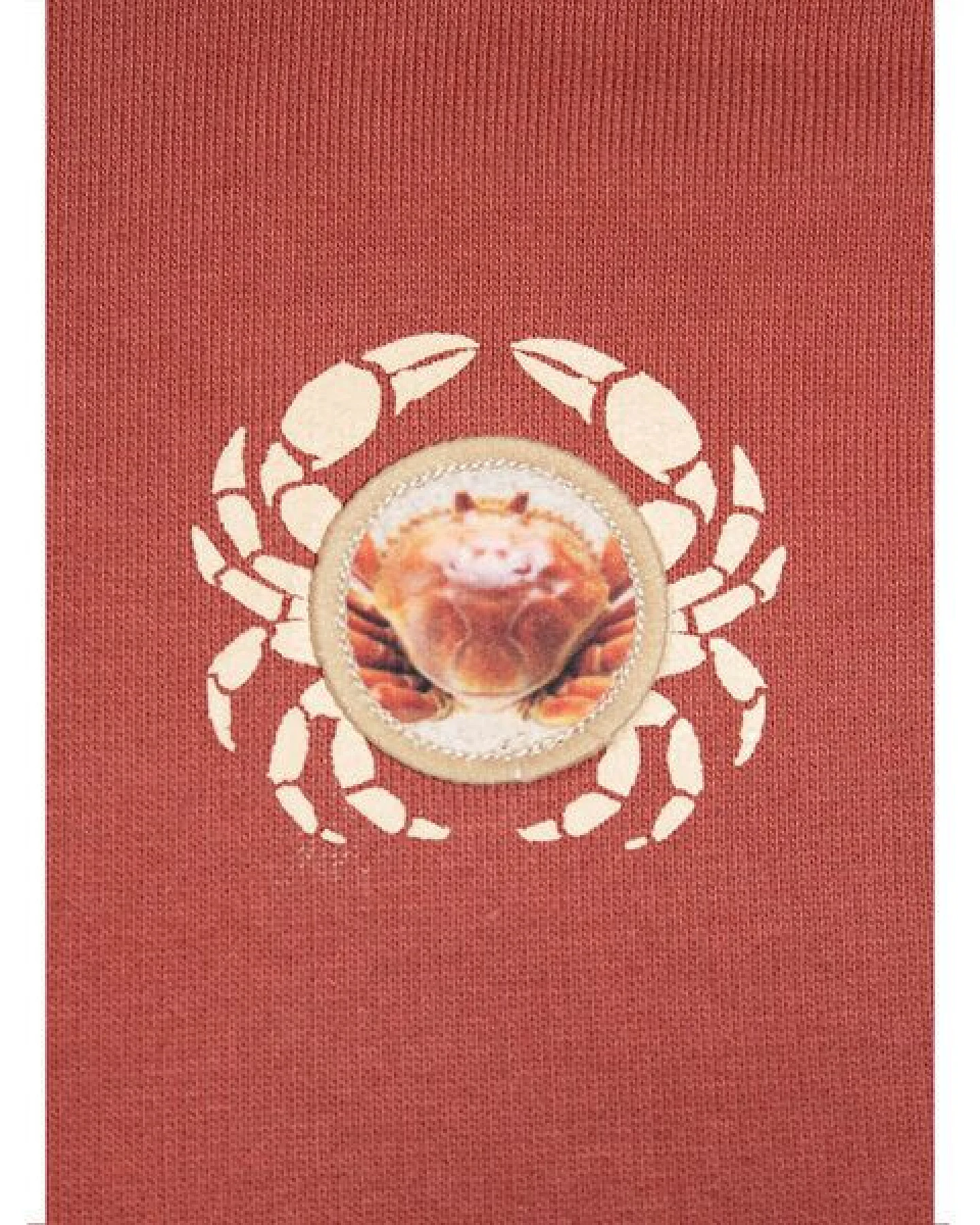 FÄDD Damen Sweatshirt Pullover aus Bio-Baumwolle "Kräbbs PäP Bätwing" Rot – Ansicht 2