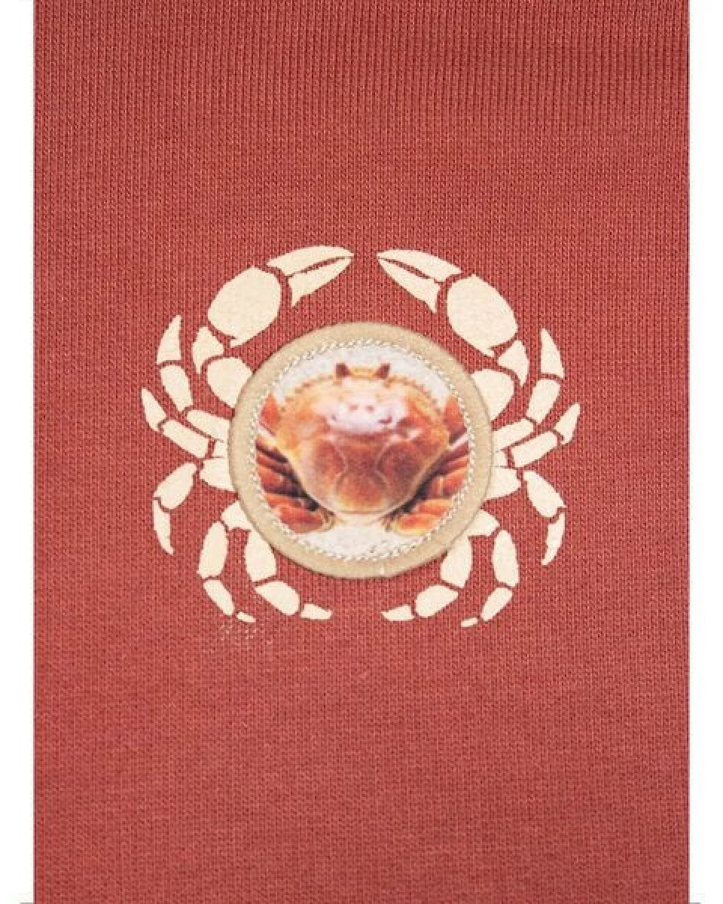 FÄDD Damen Sweatshirt Pullover aus Bio-Baumwolle "Kräbbs PäP Bätwing" Rot – Ansicht 2