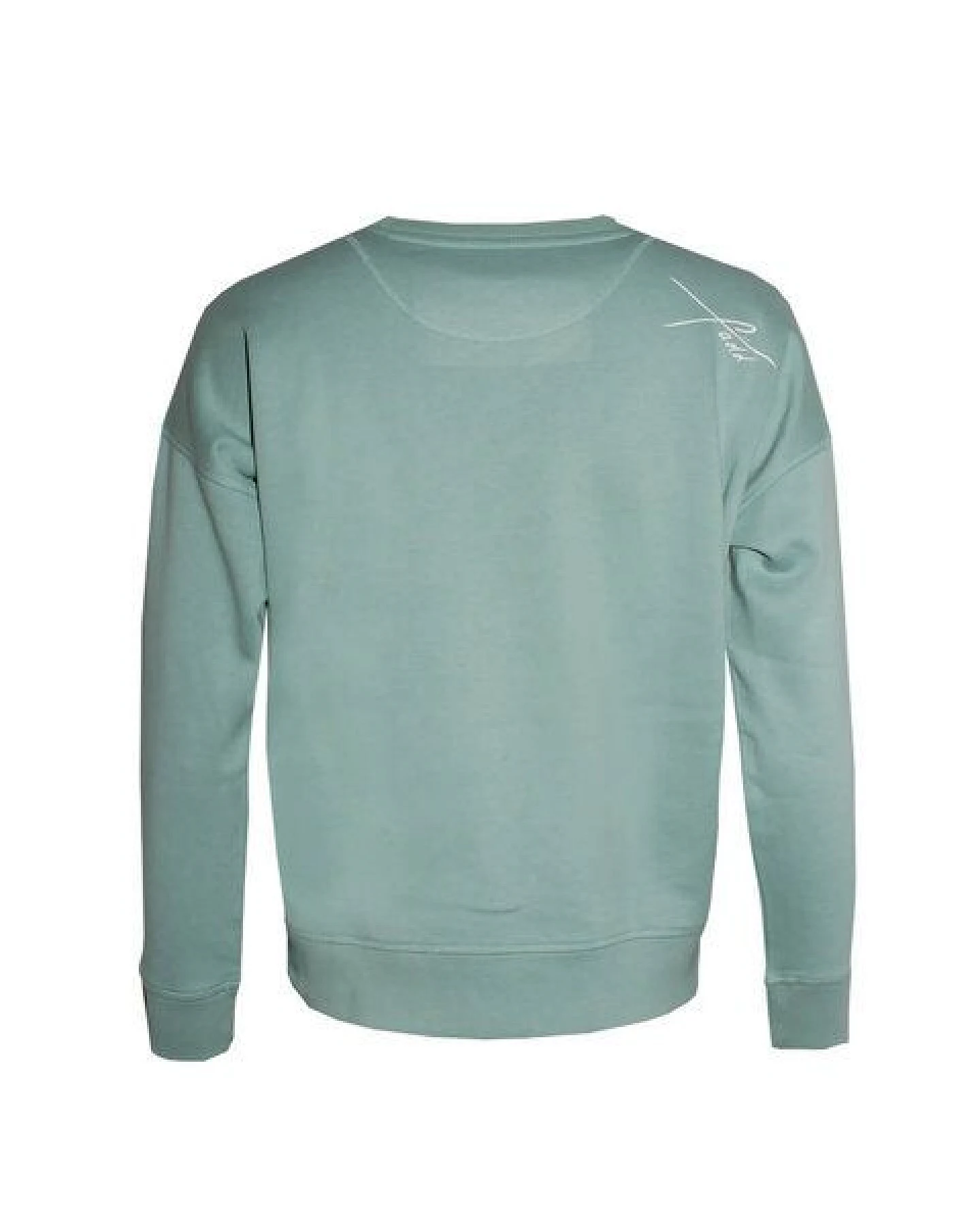 FÄDD Damen Sweatshirt Pullover aus Bio-Baumwolle "Spritz BT" Grün – Ansicht 3