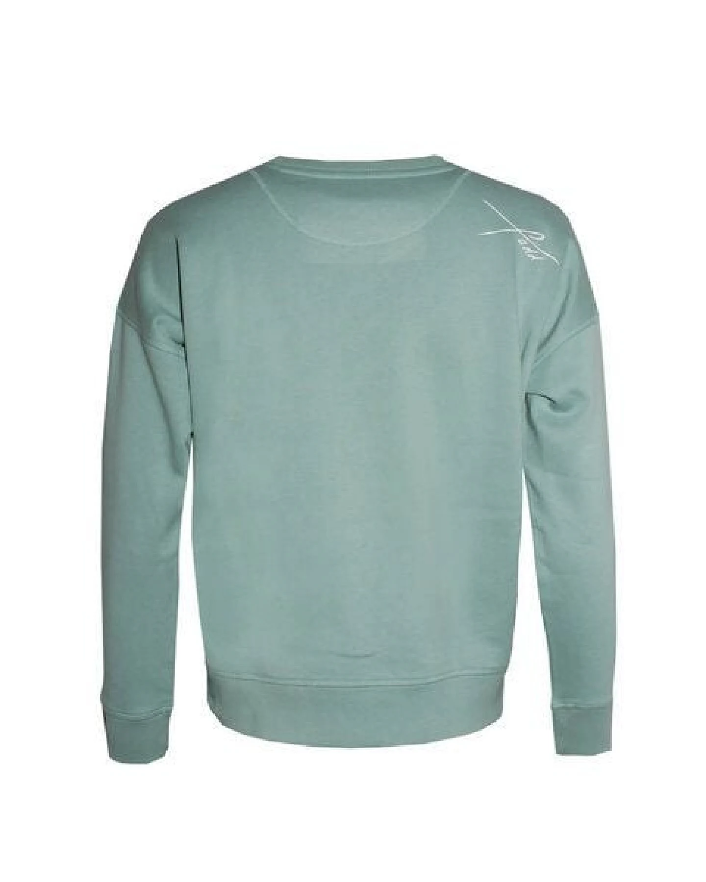 FÄDD Damen Sweatshirt Pullover aus Bio-Baumwolle "Spritz BT" Grün – Ansicht 3
