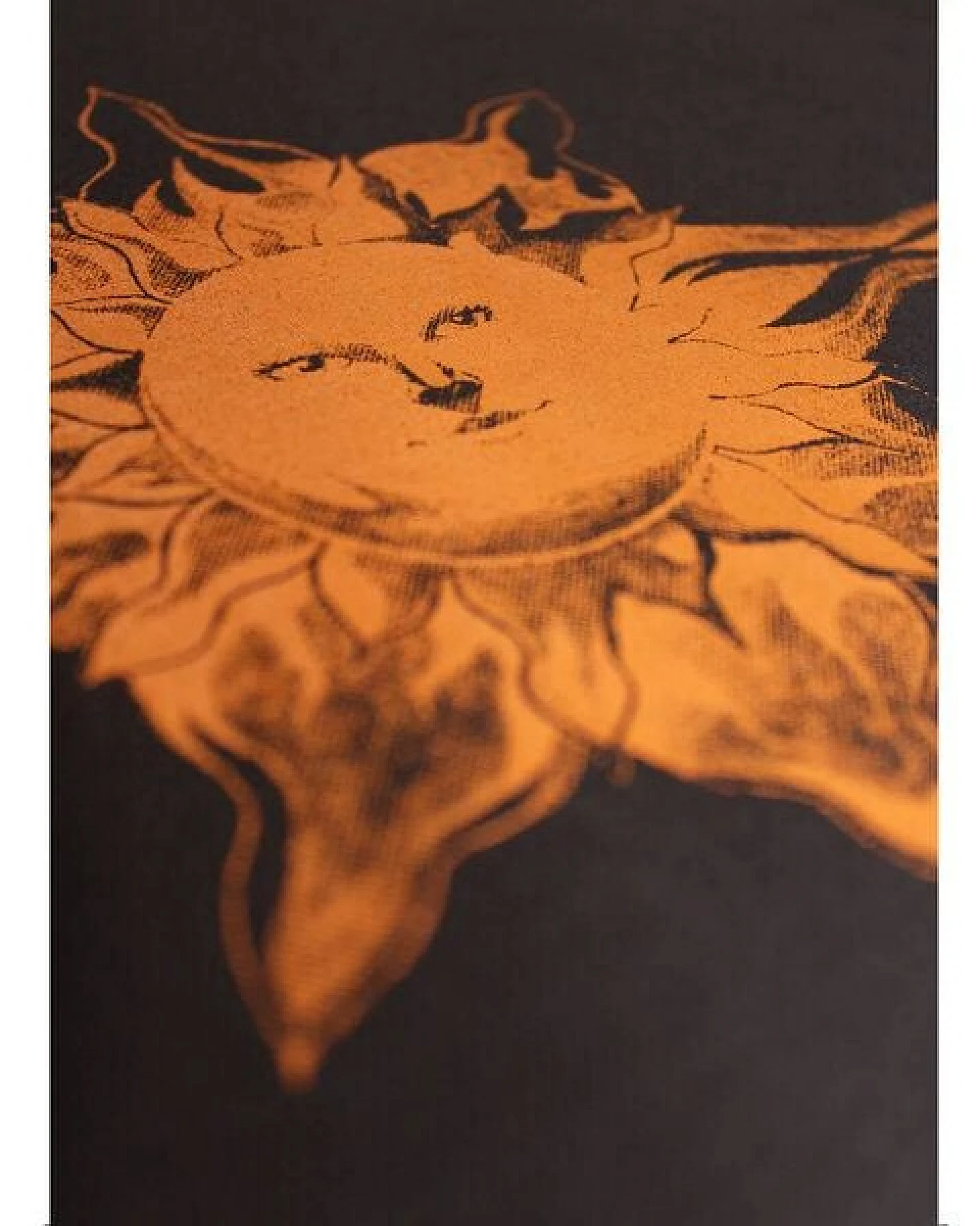 Damen T-Shirt Rundhals aus Bio-Baumwolle "Sonne" Schwarz von Fädd – Ansicht 4