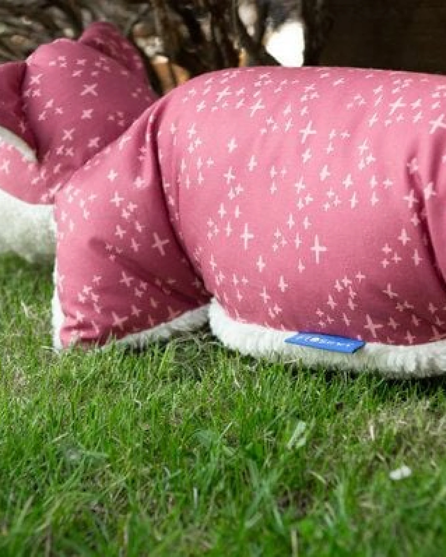 Flosinn Kuschelkissen Fuchs Rot als Reisekissen mit Teddyplüsch aus Baumwolle. Personalisierbar – Ansicht 4
