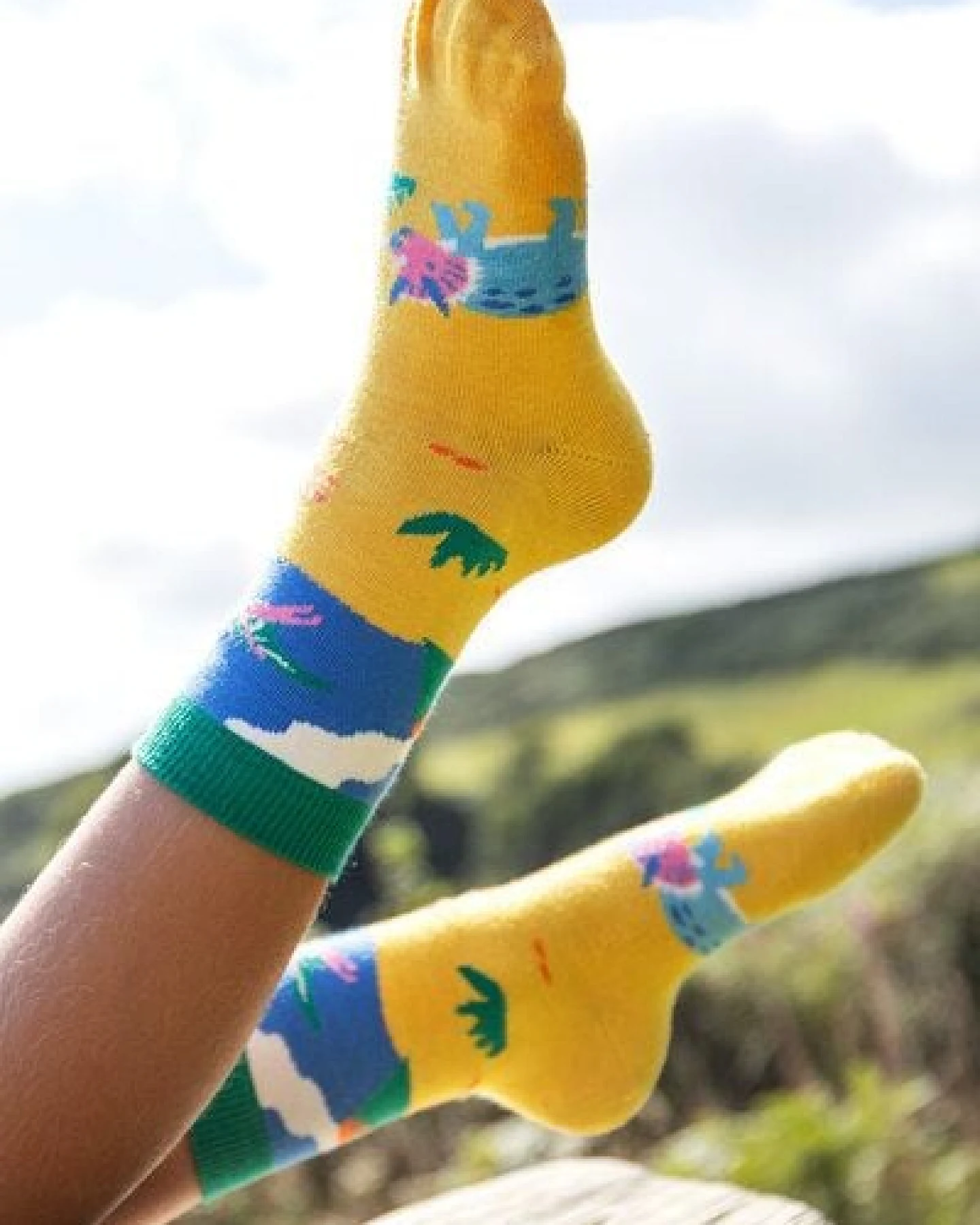 Frugi Kindersocken in Dreierpack mit Dinosaurus – Ansicht 3