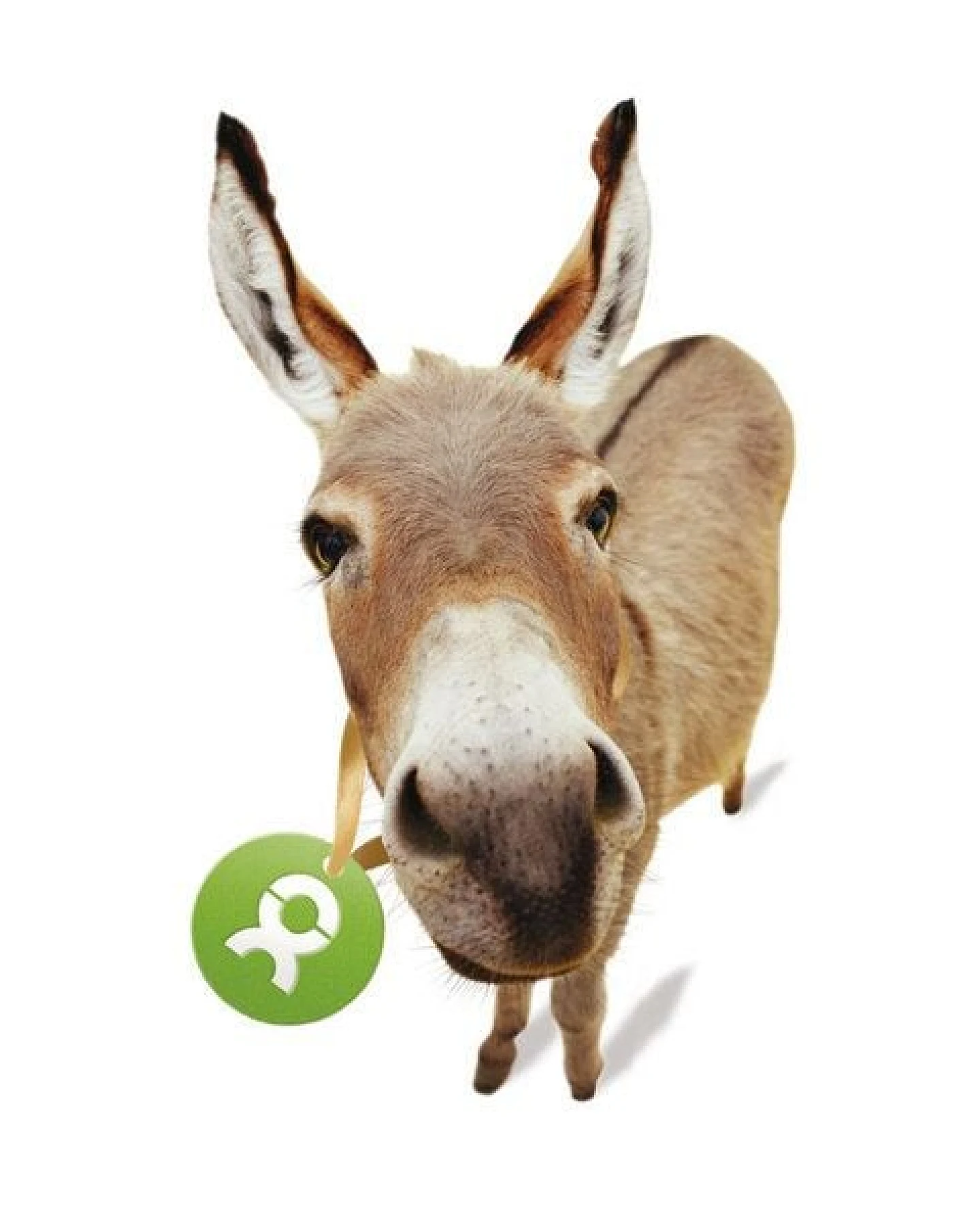 OxfamUnverpackt Spenden-Geschenk "Esel" (Grußkarte mit Magnet) – Ansicht 3