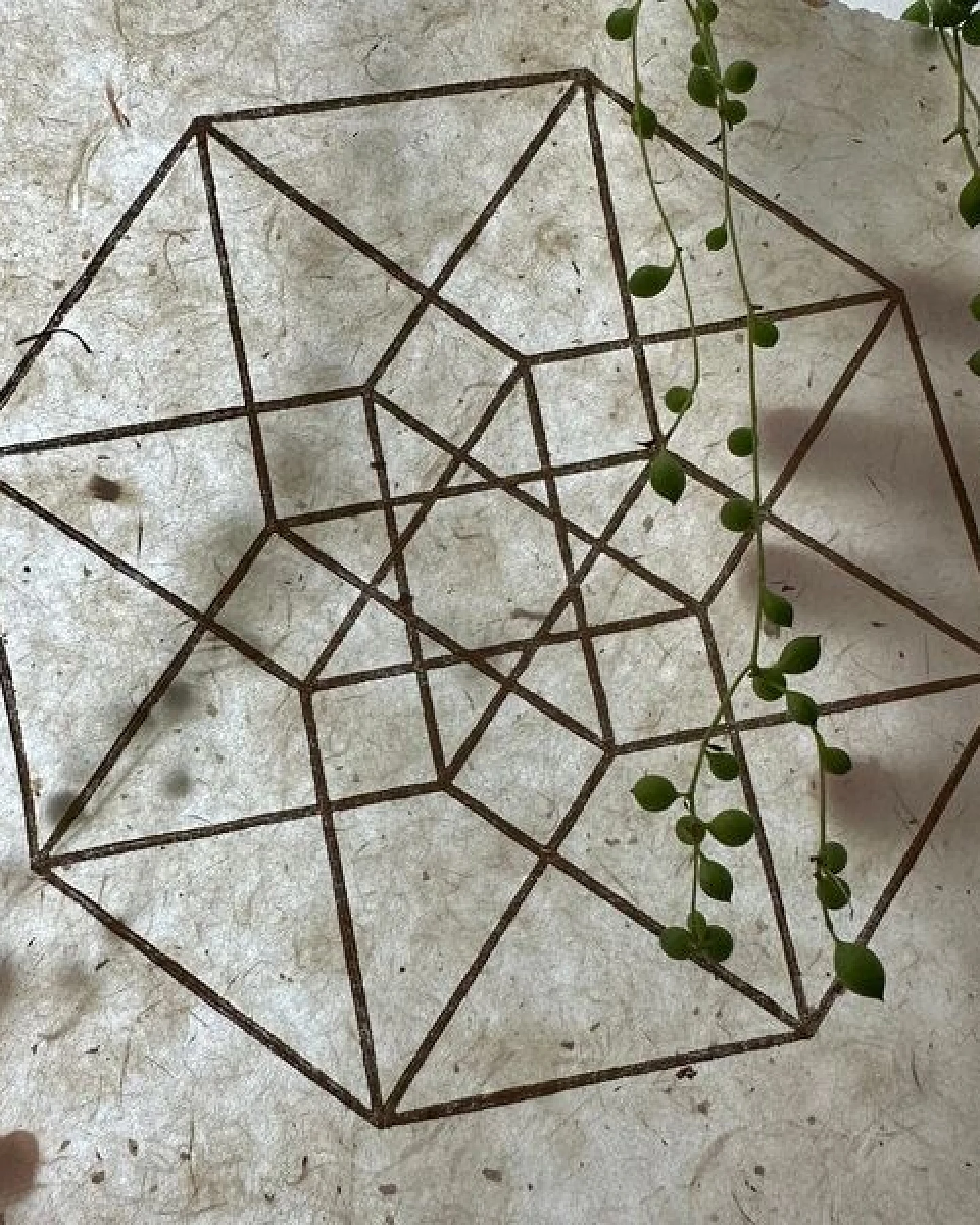 Veskor Cassiopeia TESSERAKT HYPERCUBE Heilige Geometrie Linoldruck – Ansicht 3