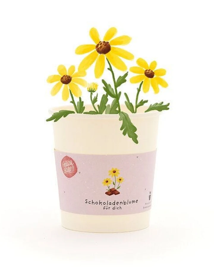 Die Stadtgärtner Schokoblumen-Anzuchtset als besonderes Geschenk