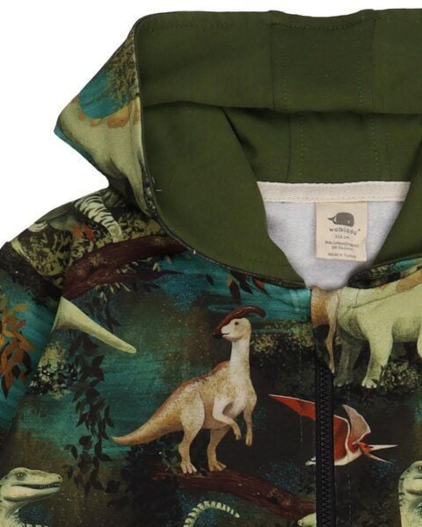 Kinder Sweatjacke Dino-Print GOTS-zertifiziert aus Bio-Baumwolle, grün – Walkiddy, Kapuze & Reißverschluss, weicher Alltagsbegleiter – Ansicht 3
