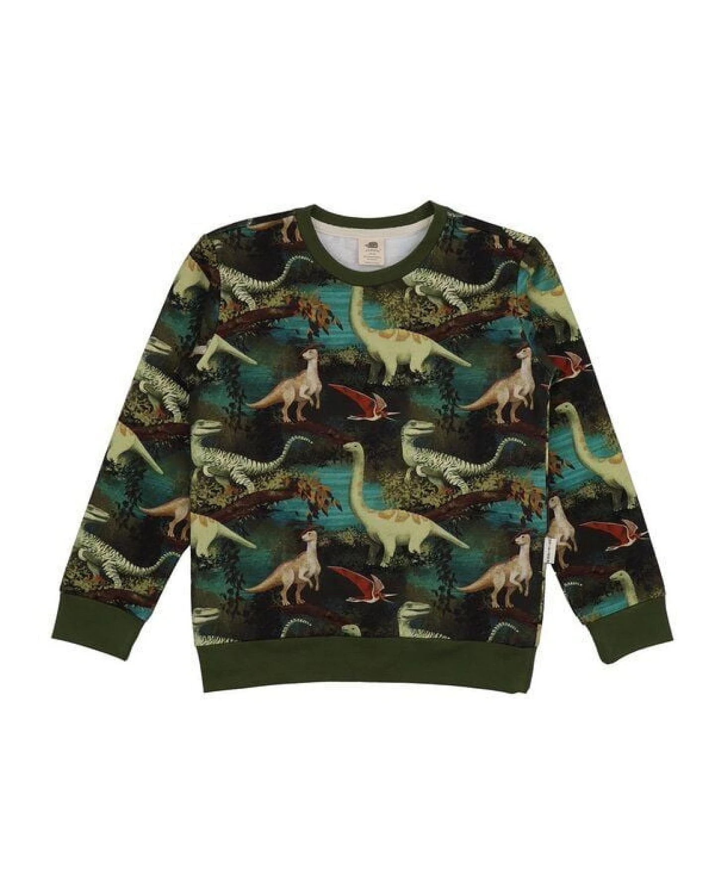 Dinasour Jungle-SweatshirtBio-Baumwolle aus 95% Baumwolle -green- GOTS-Zertifiziert – Walkiddy – Ansicht 2