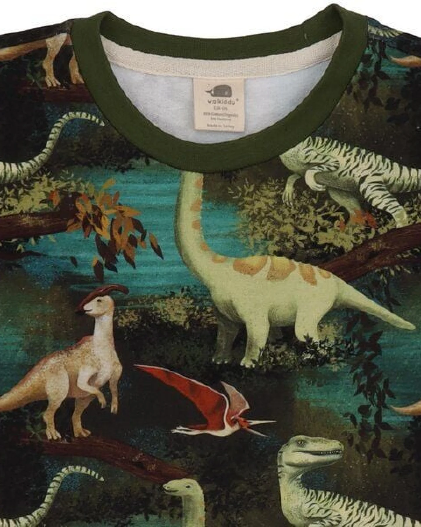 Dinasour Jungle-SweatshirtBio-Baumwolle aus 95% Baumwolle -green- GOTS-Zertifiziert – Walkiddy – Ansicht 3