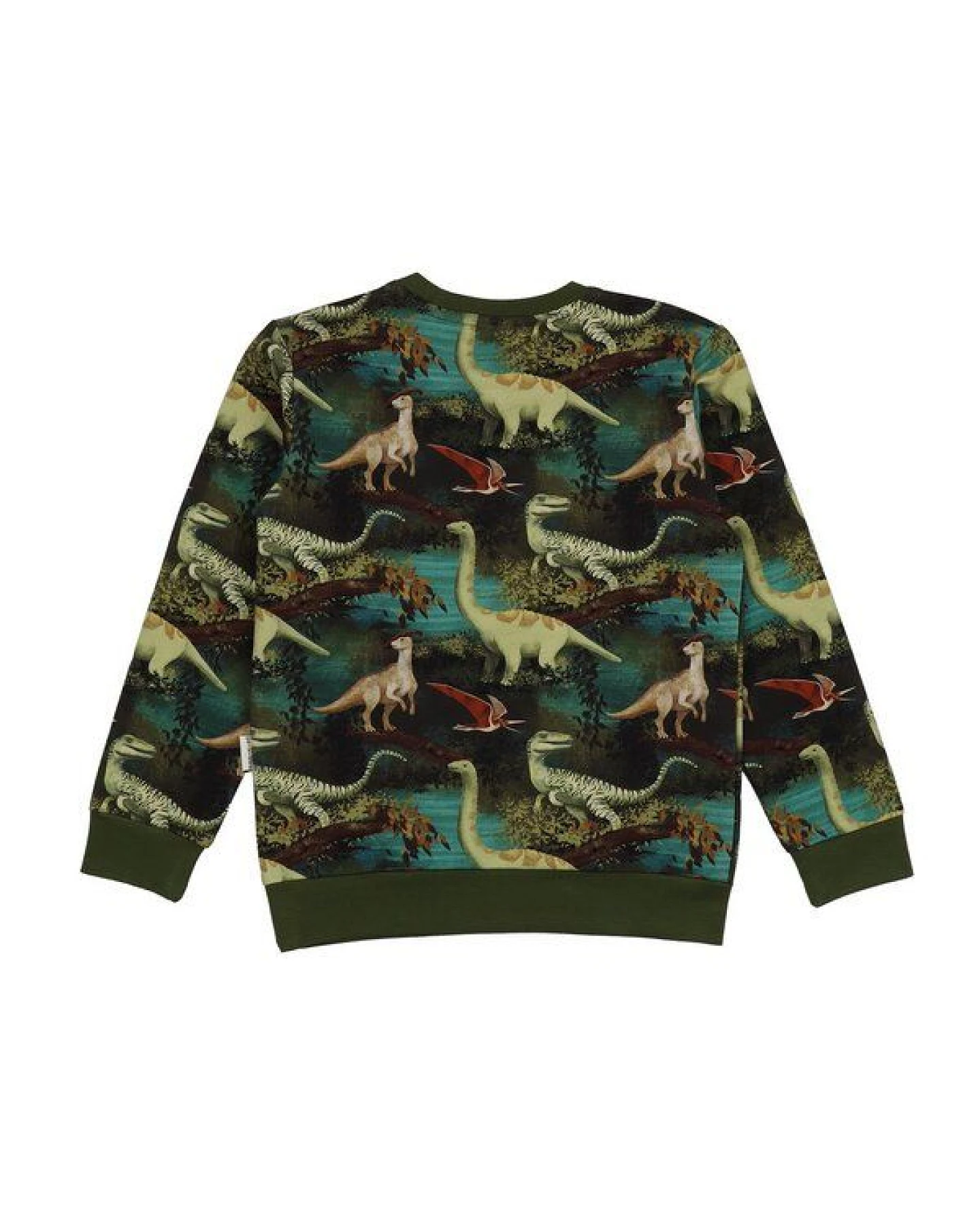 Dinasour Jungle-SweatshirtBio-Baumwolle aus 95% Baumwolle -green- GOTS-Zertifiziert – Walkiddy – Ansicht 4