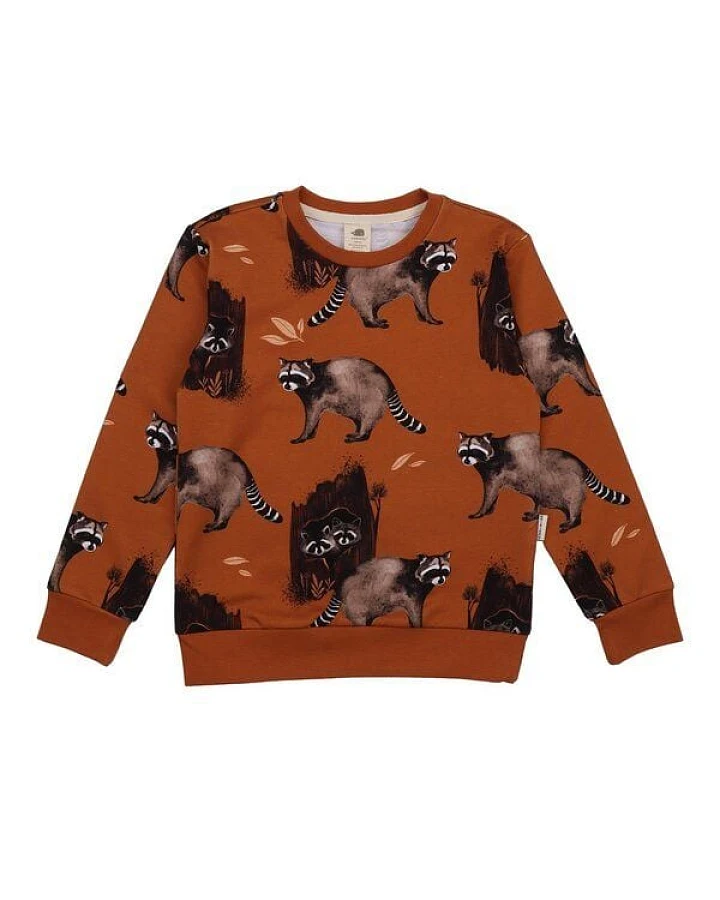Kinder Sweatshirt GOTS zertifiziert, 95% Bio-Baumwolle, braun, Waschbär-Muster, weich & bequem – Walkiddy