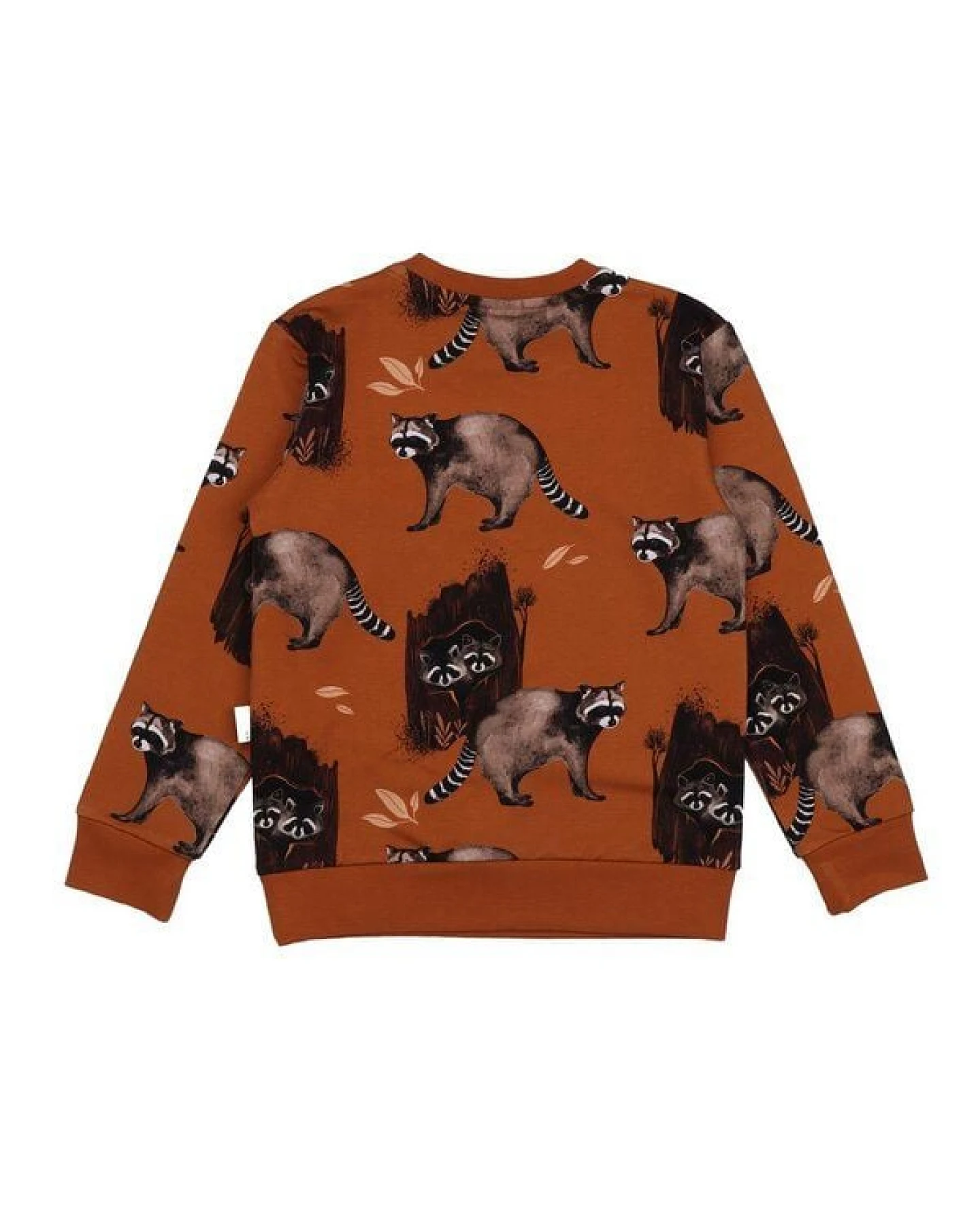 Kinder Sweatshirt GOTS zertifiziert, 95% Bio-Baumwolle, braun, Waschbär-Muster, weich & bequem – Walkiddy – Ansicht 4