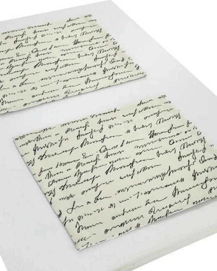 Nature by Adam Tischset 2er Pack aus Leinen und Bio-Baumwolle - Made in Germany - Scribble
