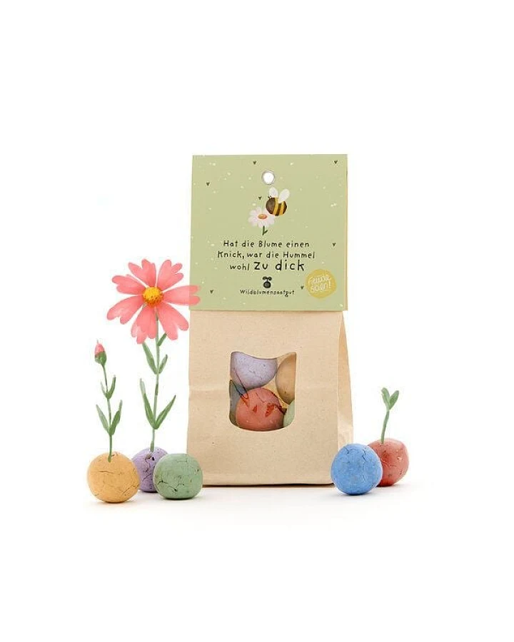 Die Stadtgärtner 8 Wildblumen-Saatkugeln als kreatives Geschenk