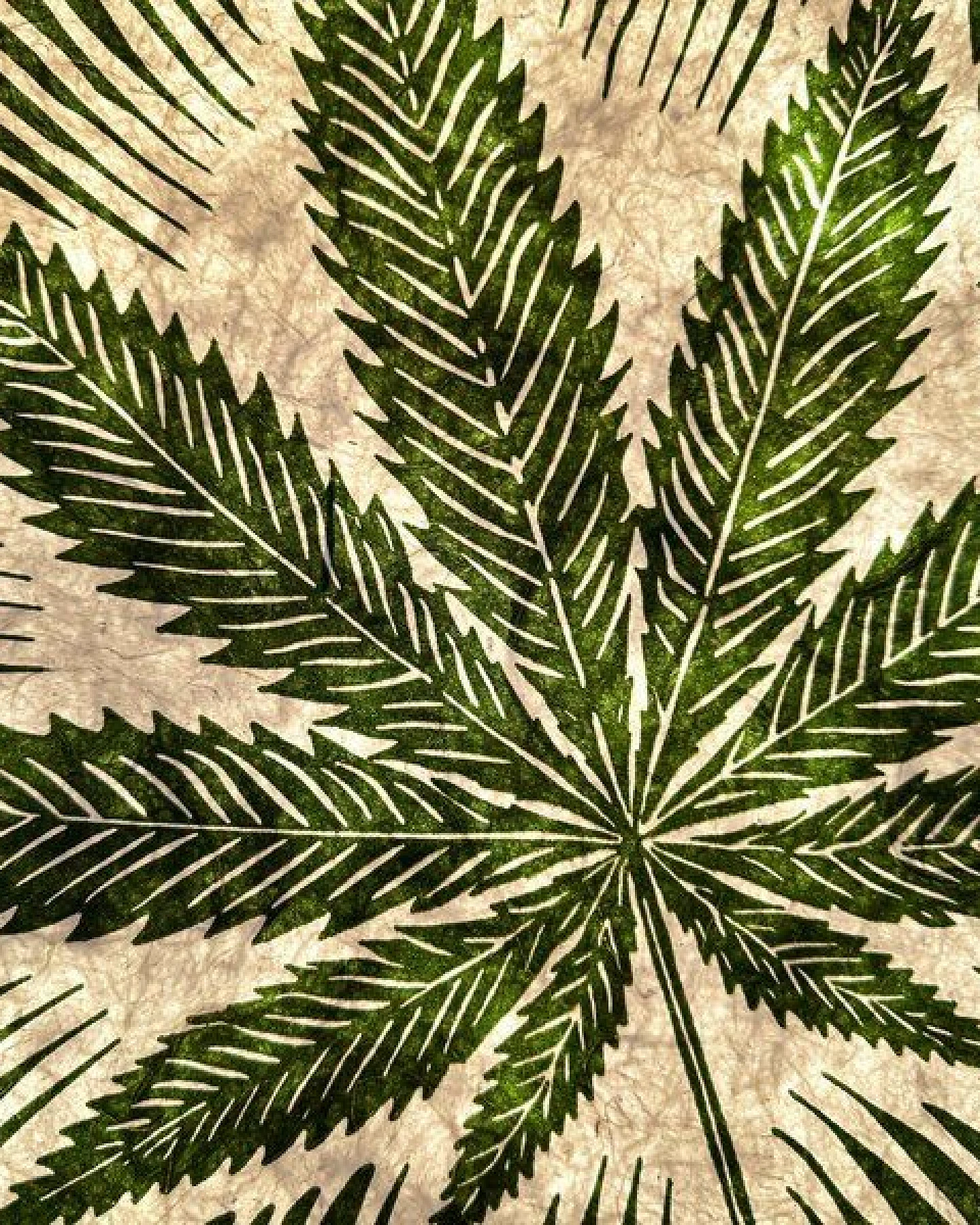 Veskor Cassiopeia CANNABIS BLATT Marihuana Pflanzen Linoldruck – Ansicht 2