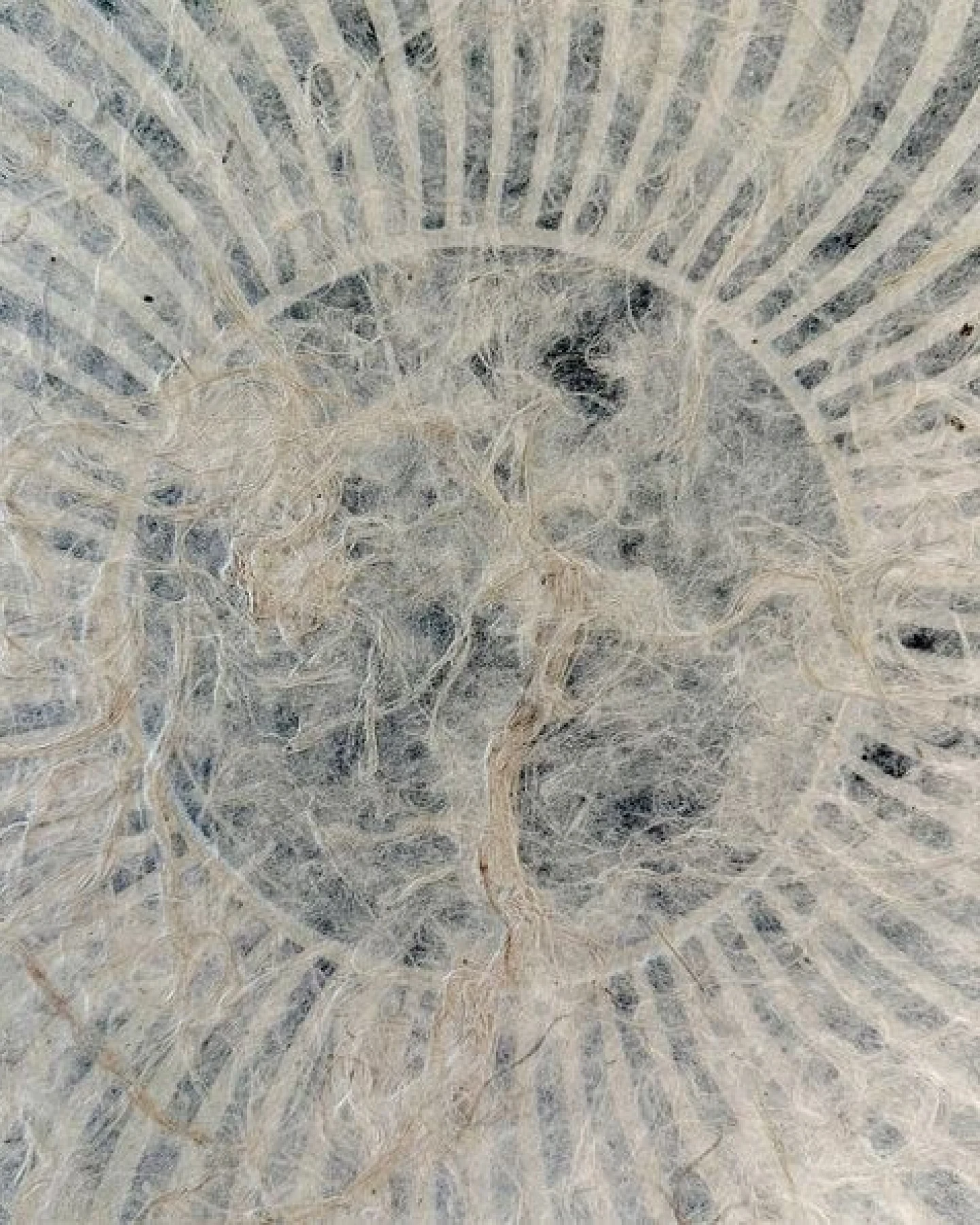 Veskor Cassiopeia PSYCHEDELIC SUN Op-Art Linoldruck – Ansicht 3