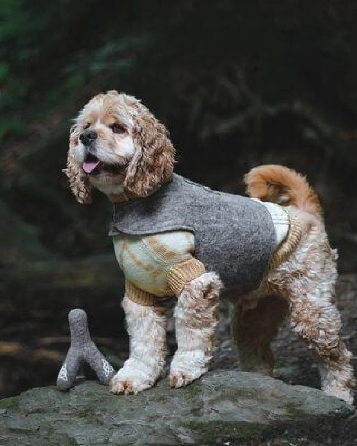 Wooliie Gold Rift – Handgefertigter Hundepullover aus 100 % Merinowolle mit Zopfmuster & pflanzlicher Färbung – Ansicht 3