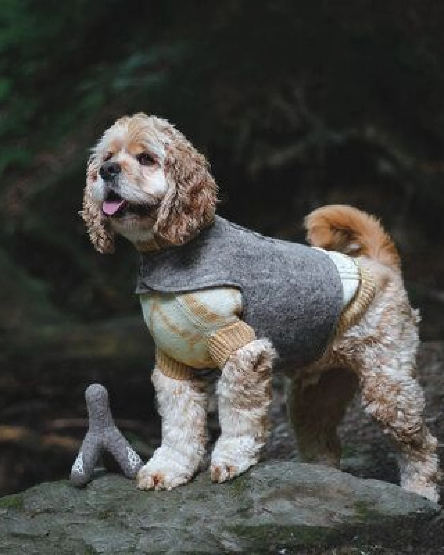 Wooliie Gold Rift – Handgefertigter Hundepullover aus 100 % Merinowolle mit Zopfmuster & pflanzlicher Färbung – Ansicht 3