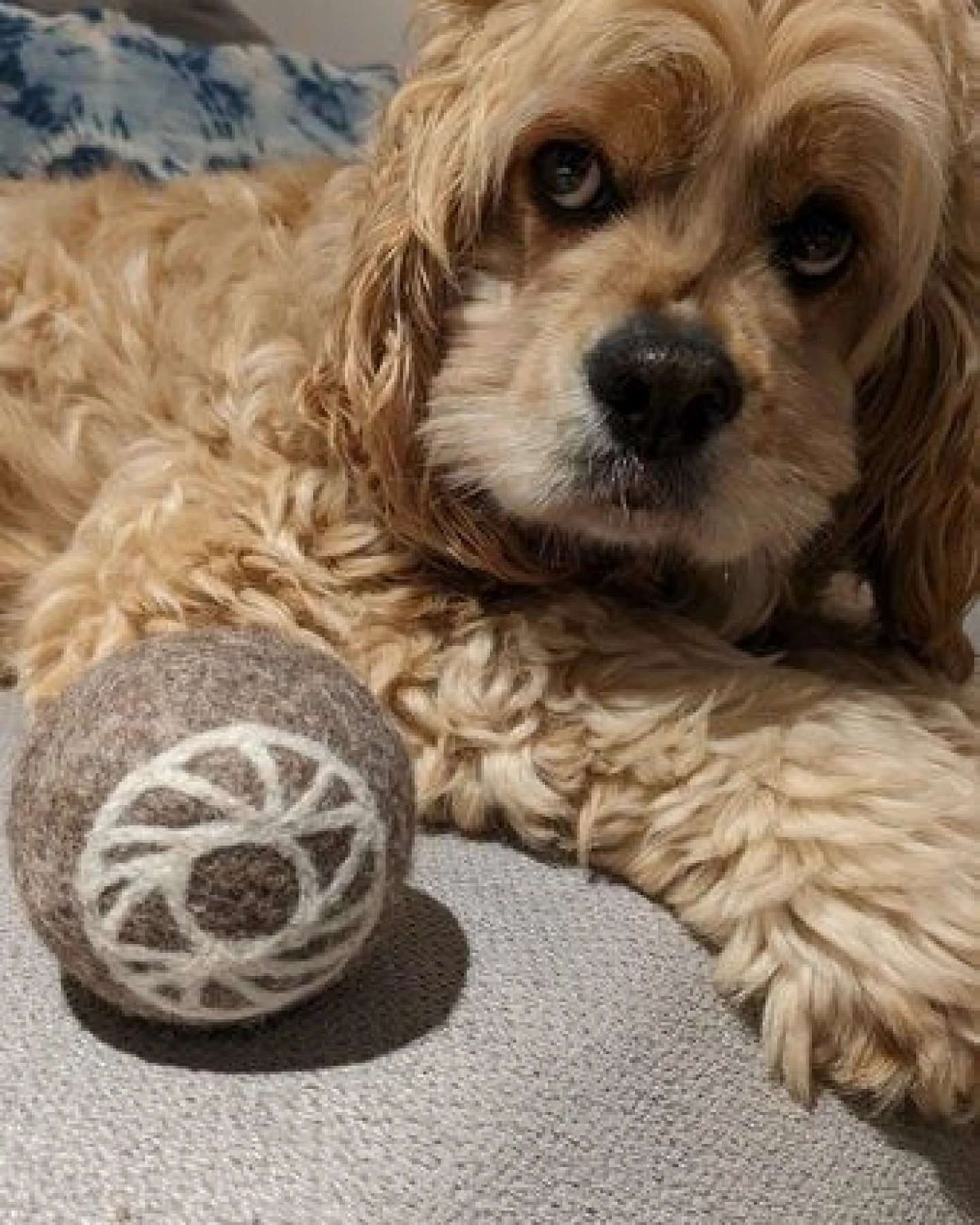 Wooliie Hunde-Spielset aus 100 % naturbelassener Schurwolle – handgefertigt & schadstofffrei (3er-Bundle) - Rope Ball & Rattle Ball – Ansicht 4
