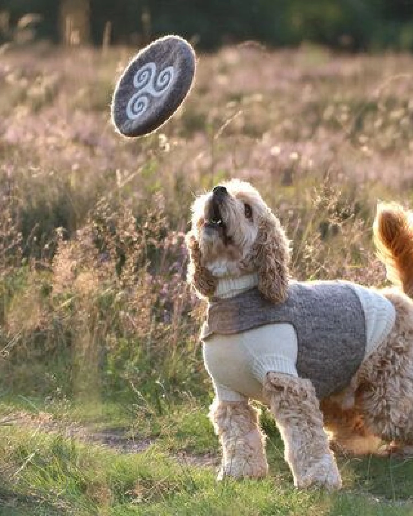 Wooliie Hunde-Spielset aus 100 % naturbelassener Schurwolle – handgefertigt & schadstofffrei (3er-Bundle) - Frisbee & Star – Ansicht 3
