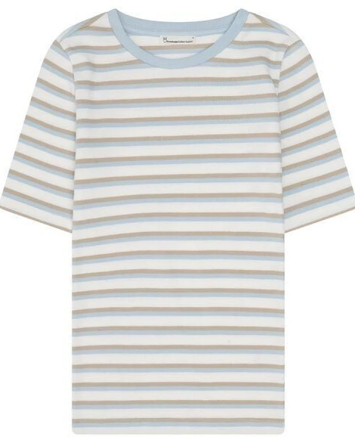 Multi Color Stripe