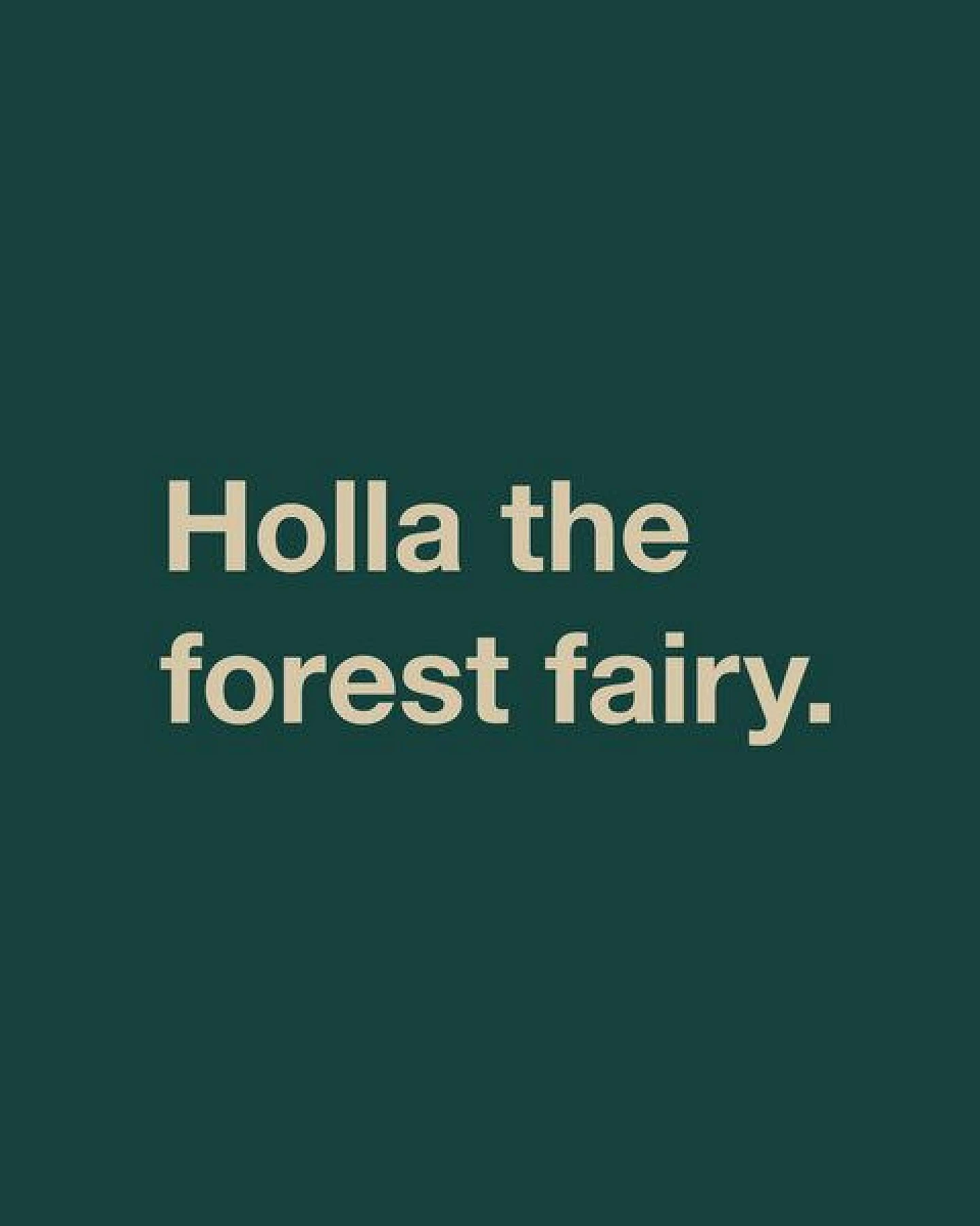 GARY MASH Shirt Asheville Holla the forest fairy. aus Bio-Baumwolle – Ansicht 2