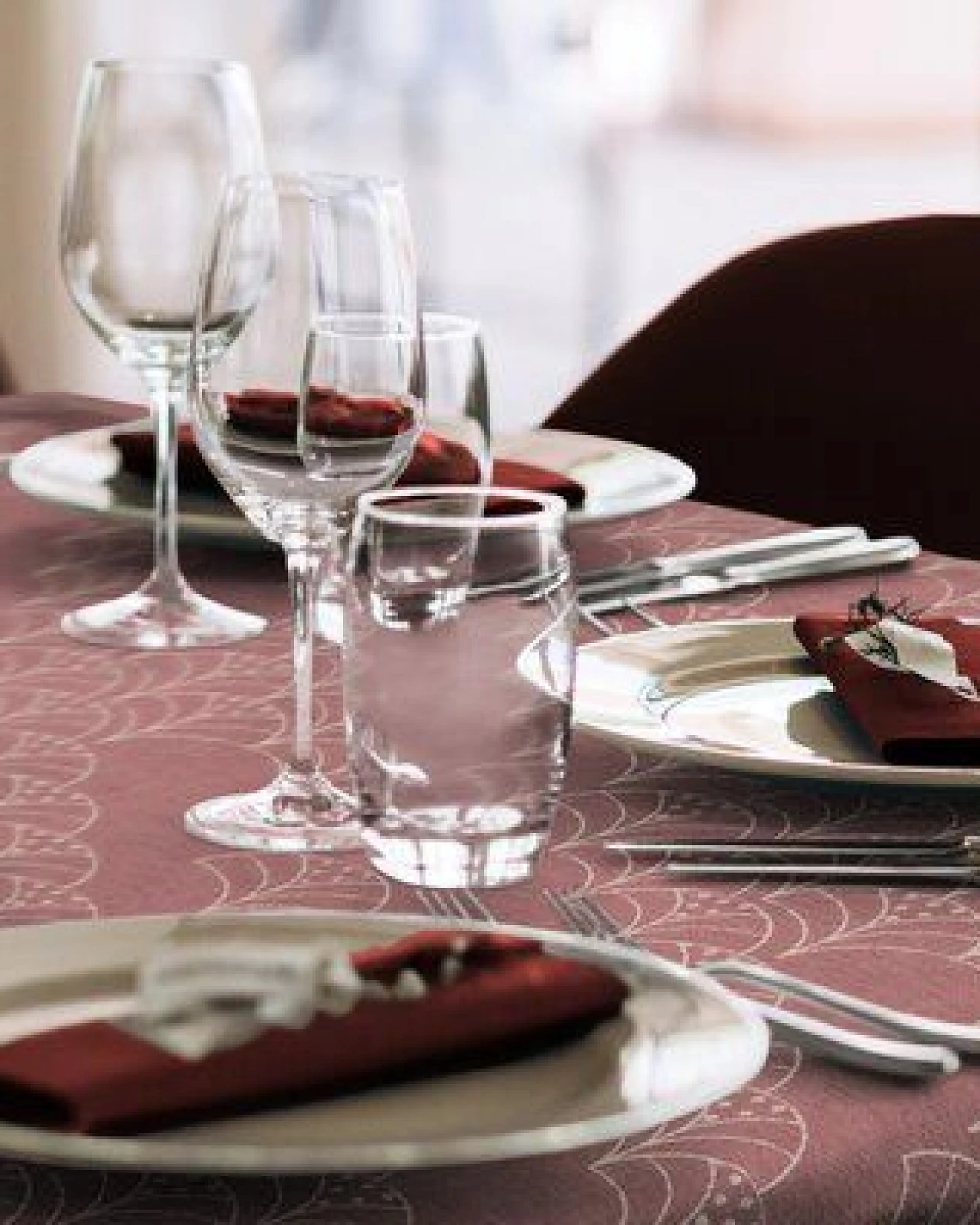 Nature by Adam Tischdecke aus 100% Bio-Baumwolle - Made in Germany - Argentinian Criolla – Ansicht 3