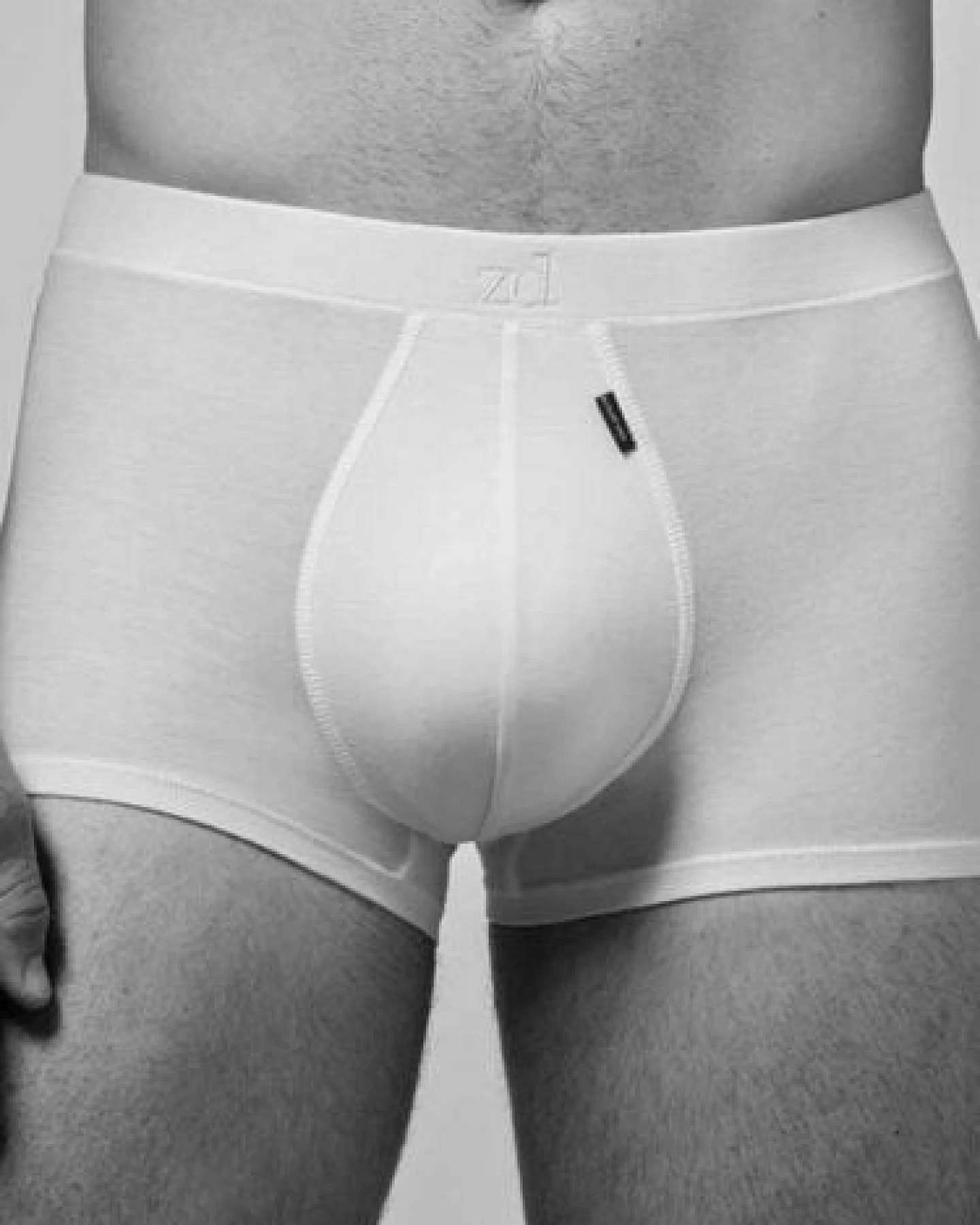 ZD Zero Defects Ägyptische Baumwolle Shorty Boxers – Ansicht 3