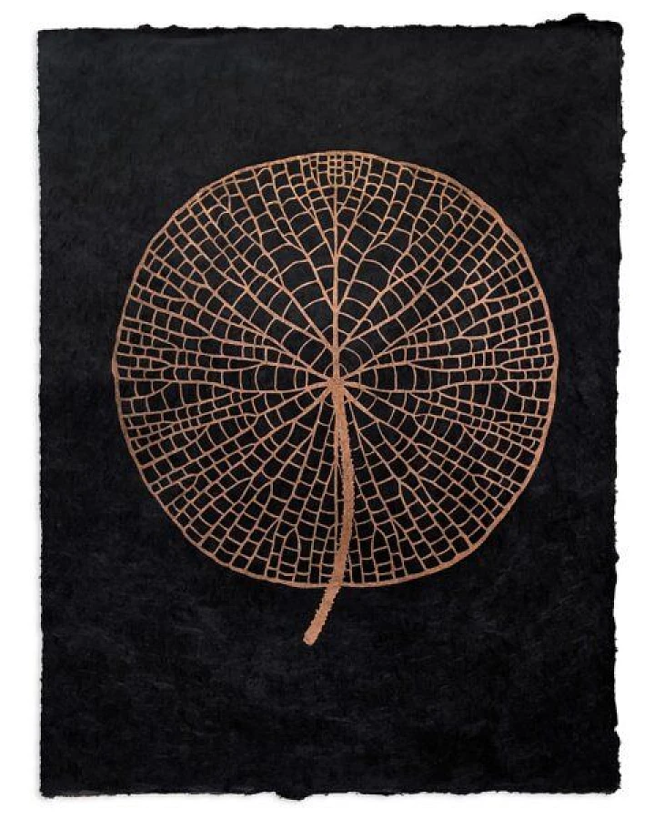 Veskor Cassiopeia VICTORIA AMAZONICA Seerosenblatt Linoldruck