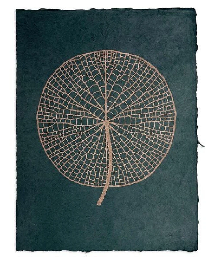 Veskor Cassiopeia VICTORIA AMAZONICA Seerosenblatt Linoldruck