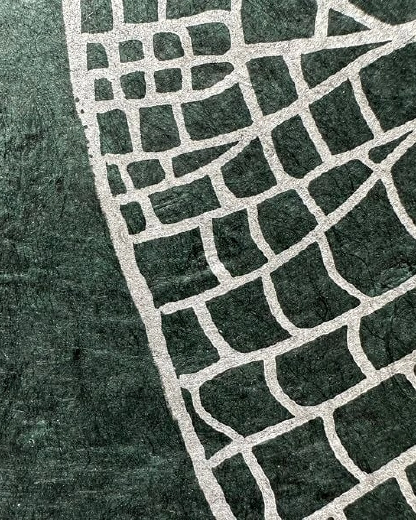 Veskor Cassiopeia VICTORIA AMAZONICA Seerosenblatt Linoldruck – Ansicht 4