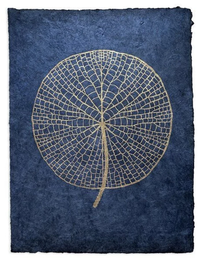 Veskor Cassiopeia VICTORIA AMAZONICA Seerosenblatt Linoldruck