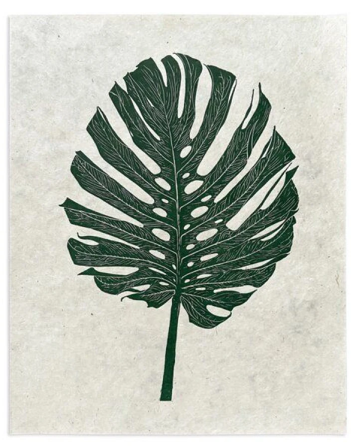 Veskor Cassiopeia MONSTERA DELICIOSA Botanischer Linoldruck