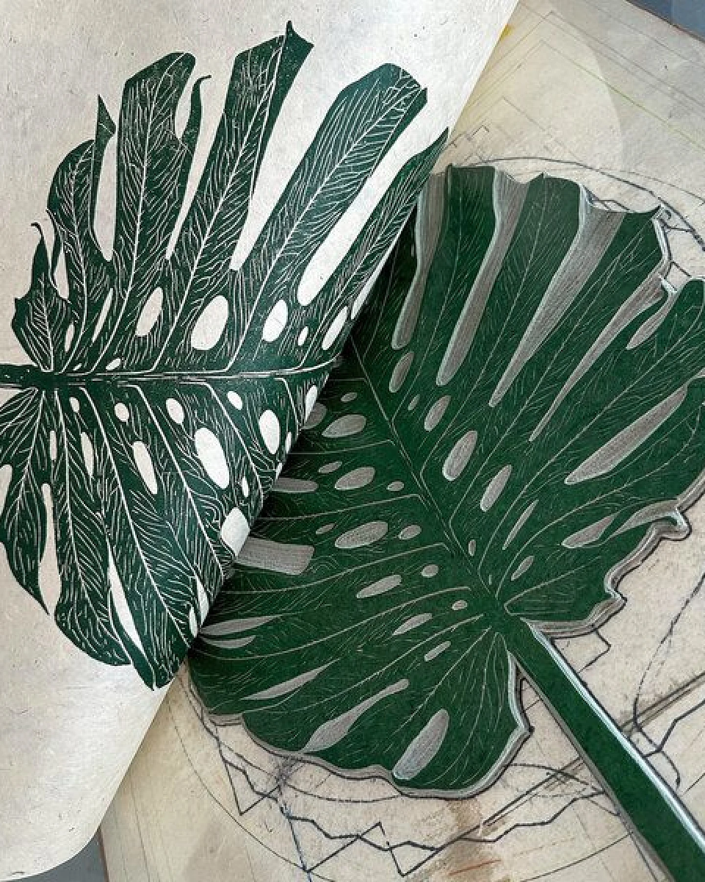 Veskor Cassiopeia MONSTERA DELICIOSA Botanischer Linoldruck – Ansicht 2