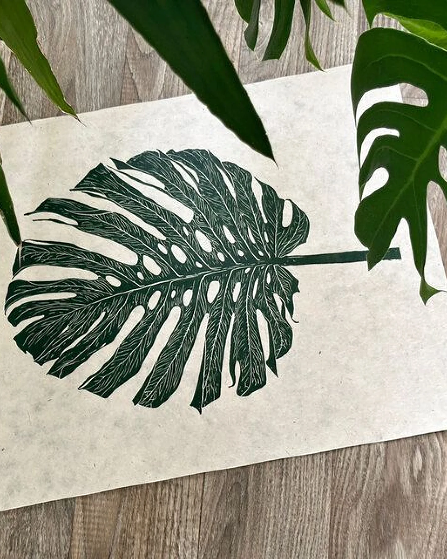Veskor Cassiopeia MONSTERA DELICIOSA Botanischer Linoldruck – Ansicht 4