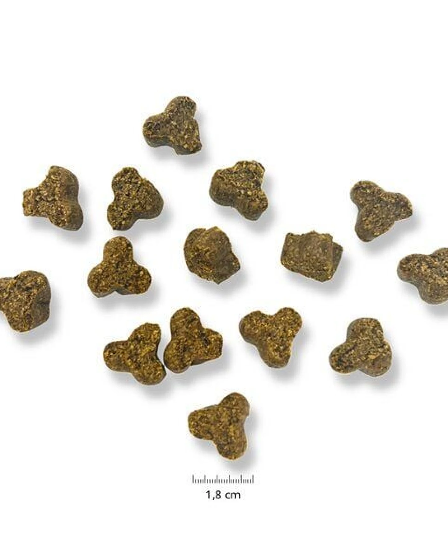 GOOPSI Insekten Hundeleckerli, Hundesnack ab 125g – Ansicht 4