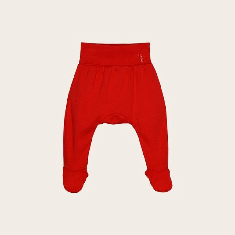 Rot
