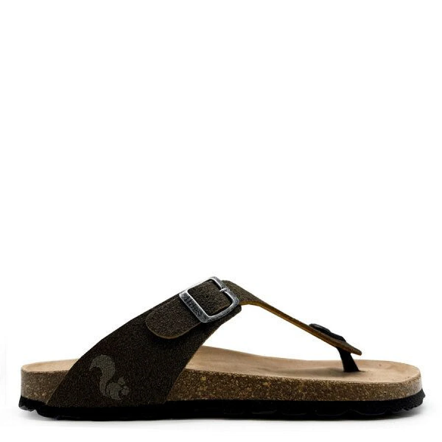 Dark Palm
