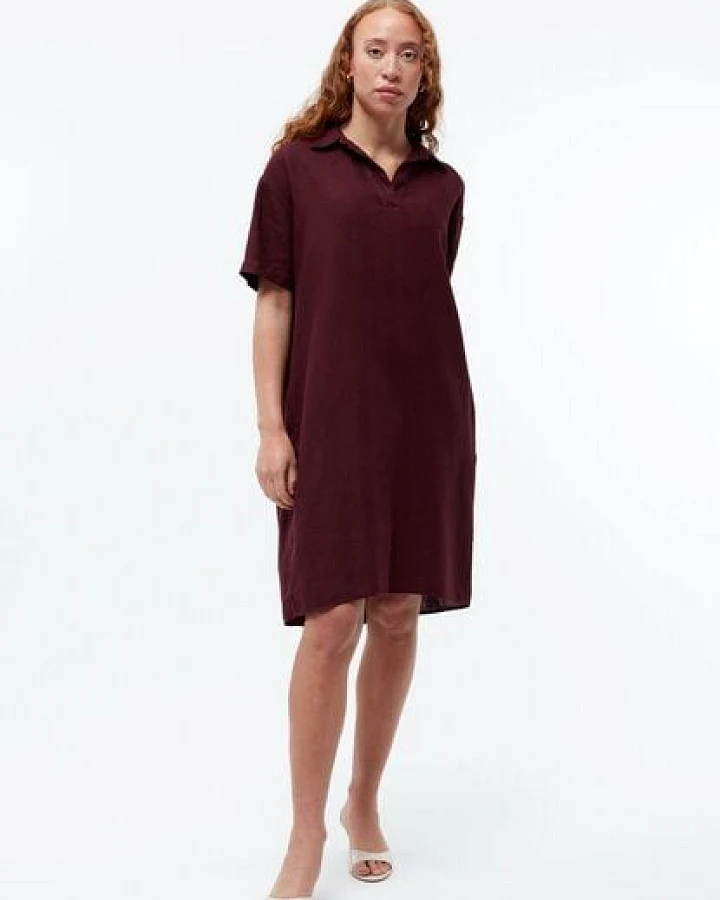 Rot