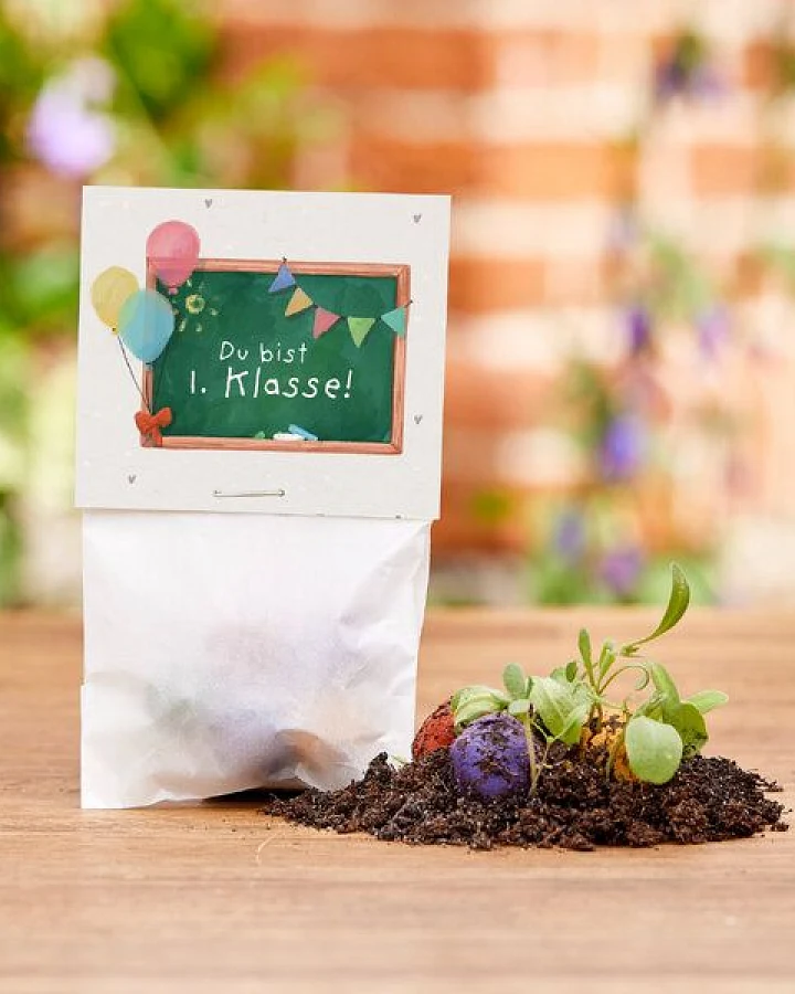 Die Stadtgärtner 5 bunte Blumenmurmeln im Tütchen mit Wildblumensaatgut