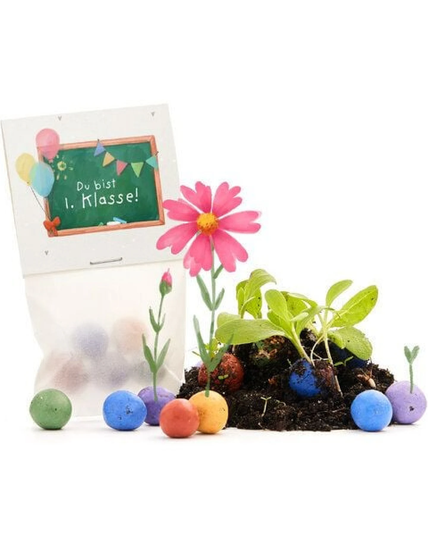 Die Stadtgärtner 5 bunte Blumenmurmeln im Tütchen mit Wildblumensaatgut – Ansicht 2