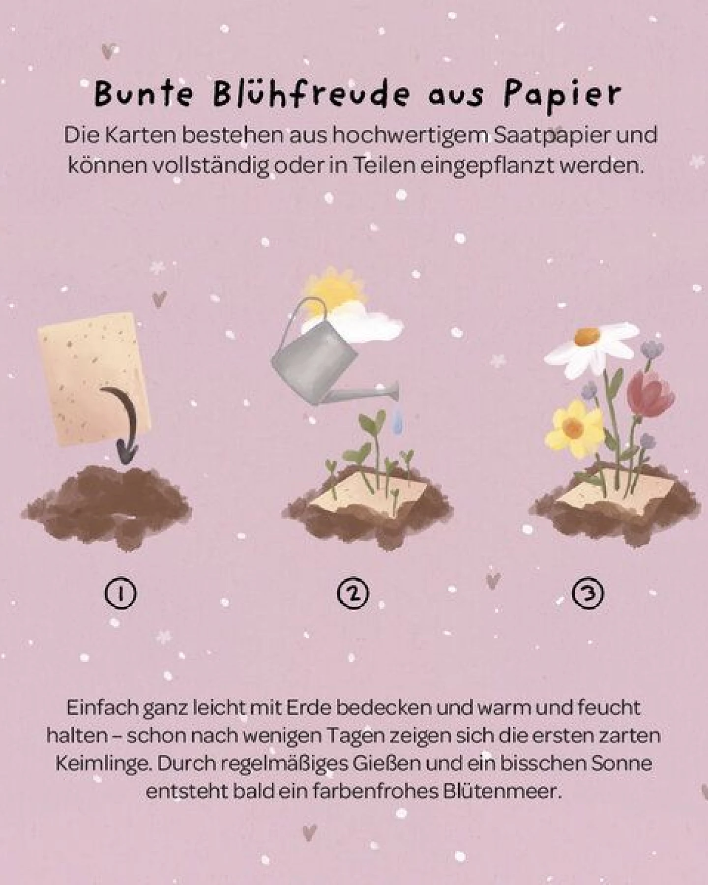 Die Stadtgärtner Grußkarte mit Saatpapier und Umschlag I Schöne Karte für beste Freundinnen & Geburtstage I Saatpapier enthält hochwertige Wildblumen-Samen – Ansicht 2