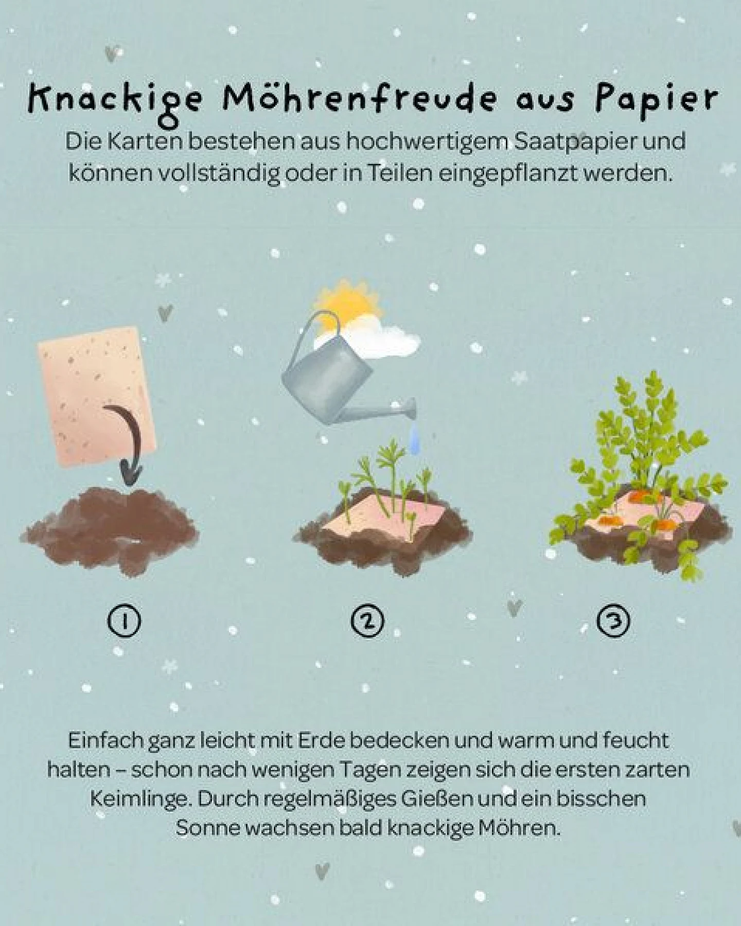 Die Stadtgärtner Grußkarte mit Saatpapier und Umschlag I Karte für Geburtstag, Jahrestag & Wertschätzung I Saatpapier enthält hochwertige Möhren-Samen – Ansicht 2