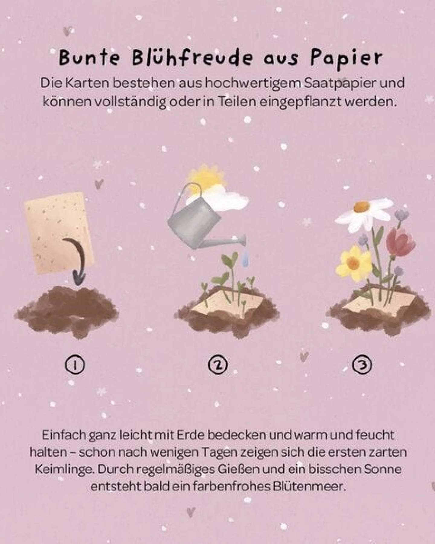 Die Stadtgärtner Grußkarte mit Saatpapier und Umschlag I Karte als Gruß, Liebesbotschaft & für Geburtstag I Saatpapier enthält hochwertige Wildblumen-Samen – Ansicht 2