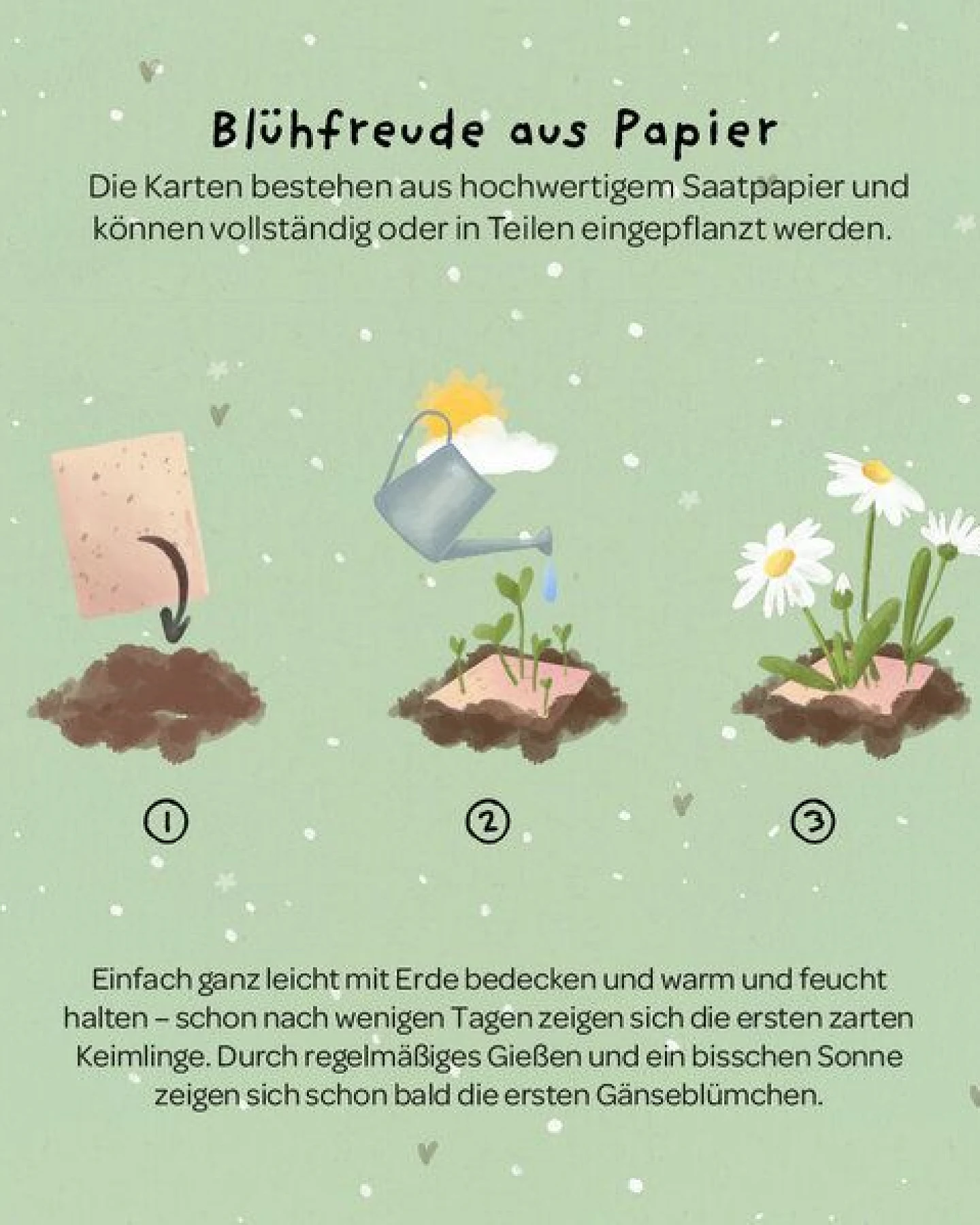 Die Stadtgärtner Grußkarte mit Saatpapier und Umschlag I Karte als Gruß, Wertschätzung & für Dankbarkeit I Saatpapier enthält hochwertige Gänseblümchen-Samen – Ansicht 2