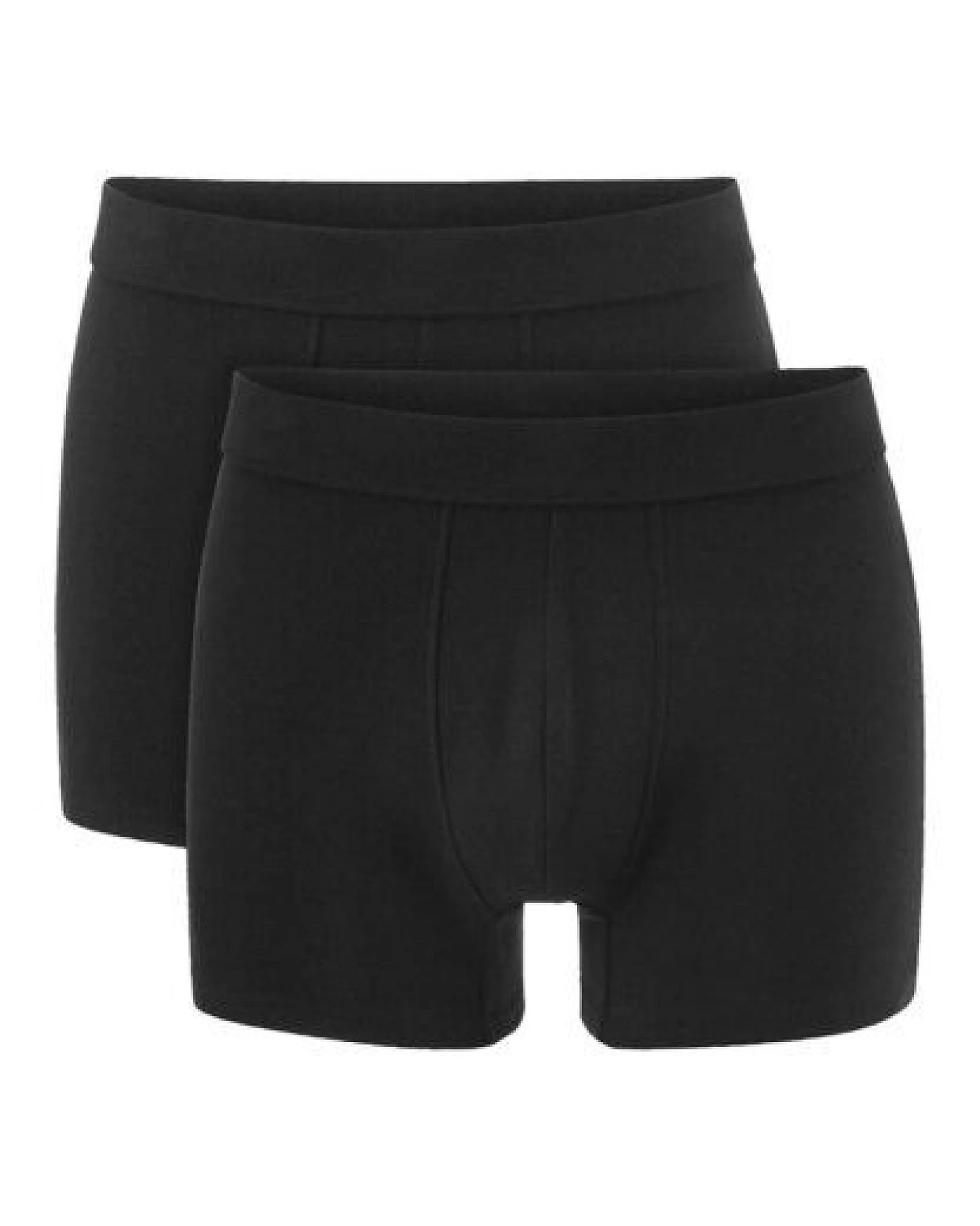hessnatur Pants Regular Cut im 2er-Pack PURE NATURE aus reiner Bio-Baumwolle – Ansicht 3