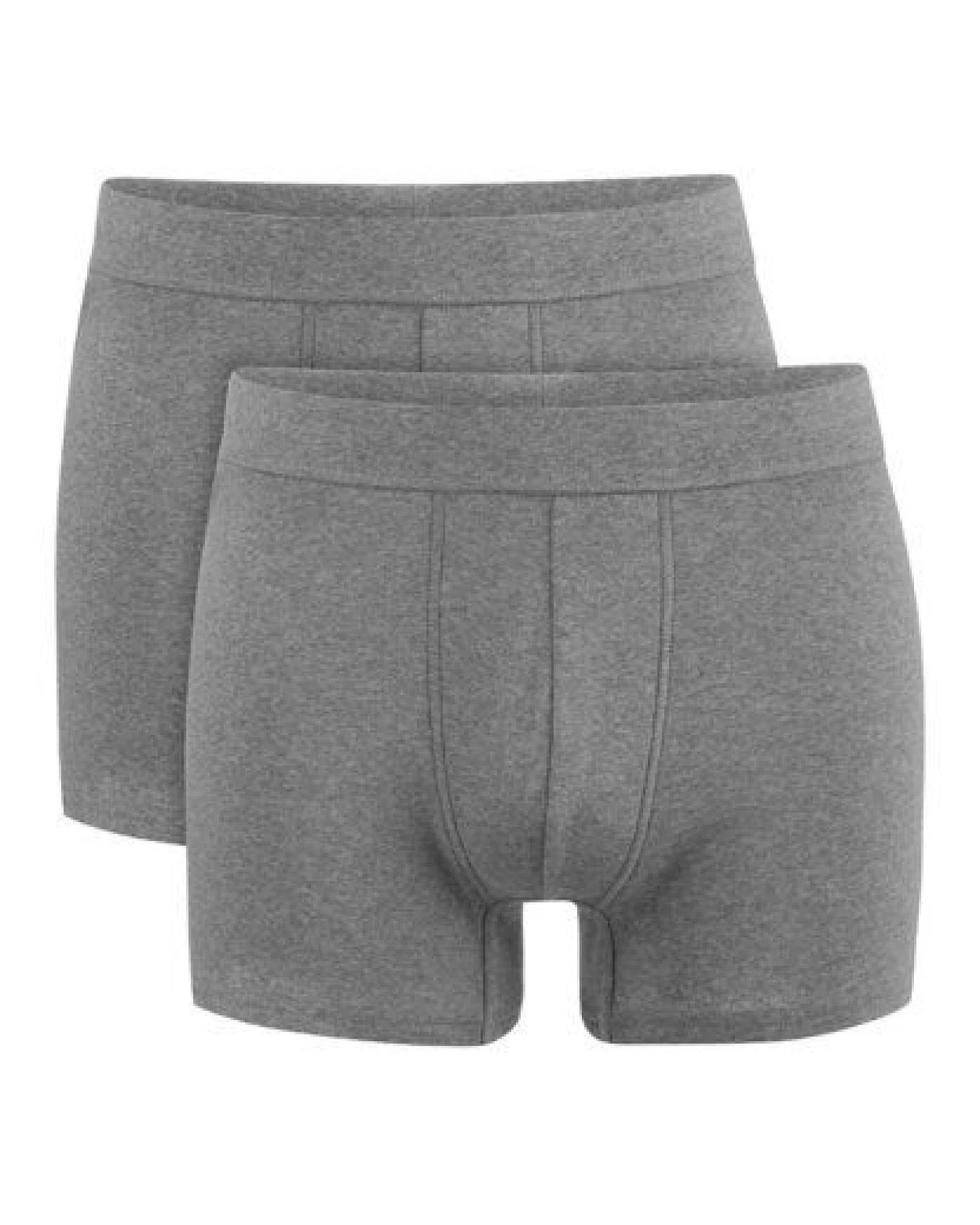 hessnatur Pants Regular Cut im 2er-Pack PURE NATURE aus reiner Bio-Baumwolle – Ansicht 3