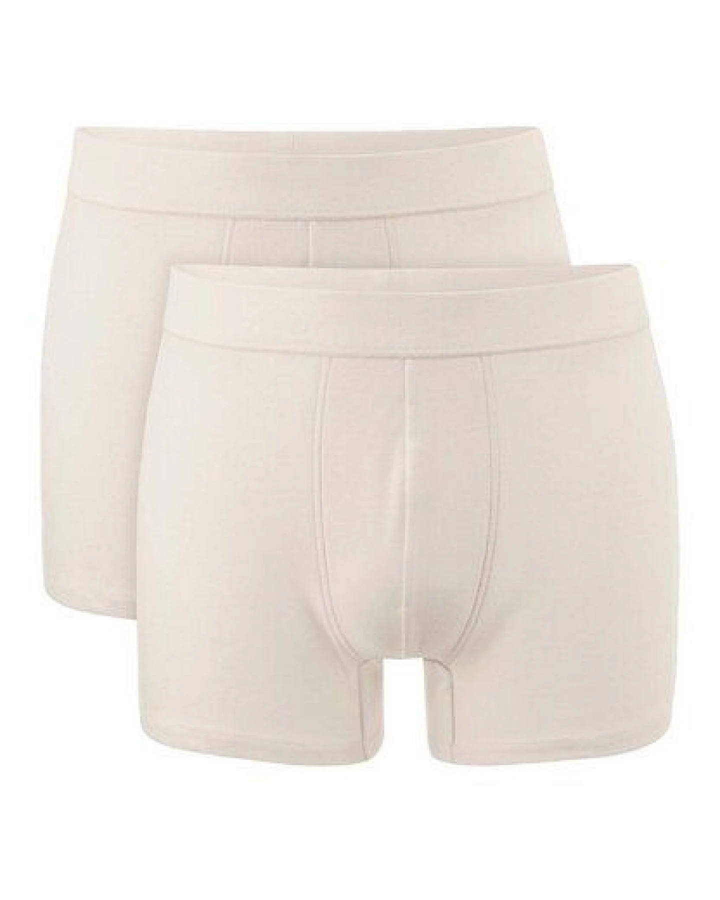 hessnatur Pants Regular Cut im 2er-Pack PURE NATURE aus reiner Bio-Baumwolle – Ansicht 2
