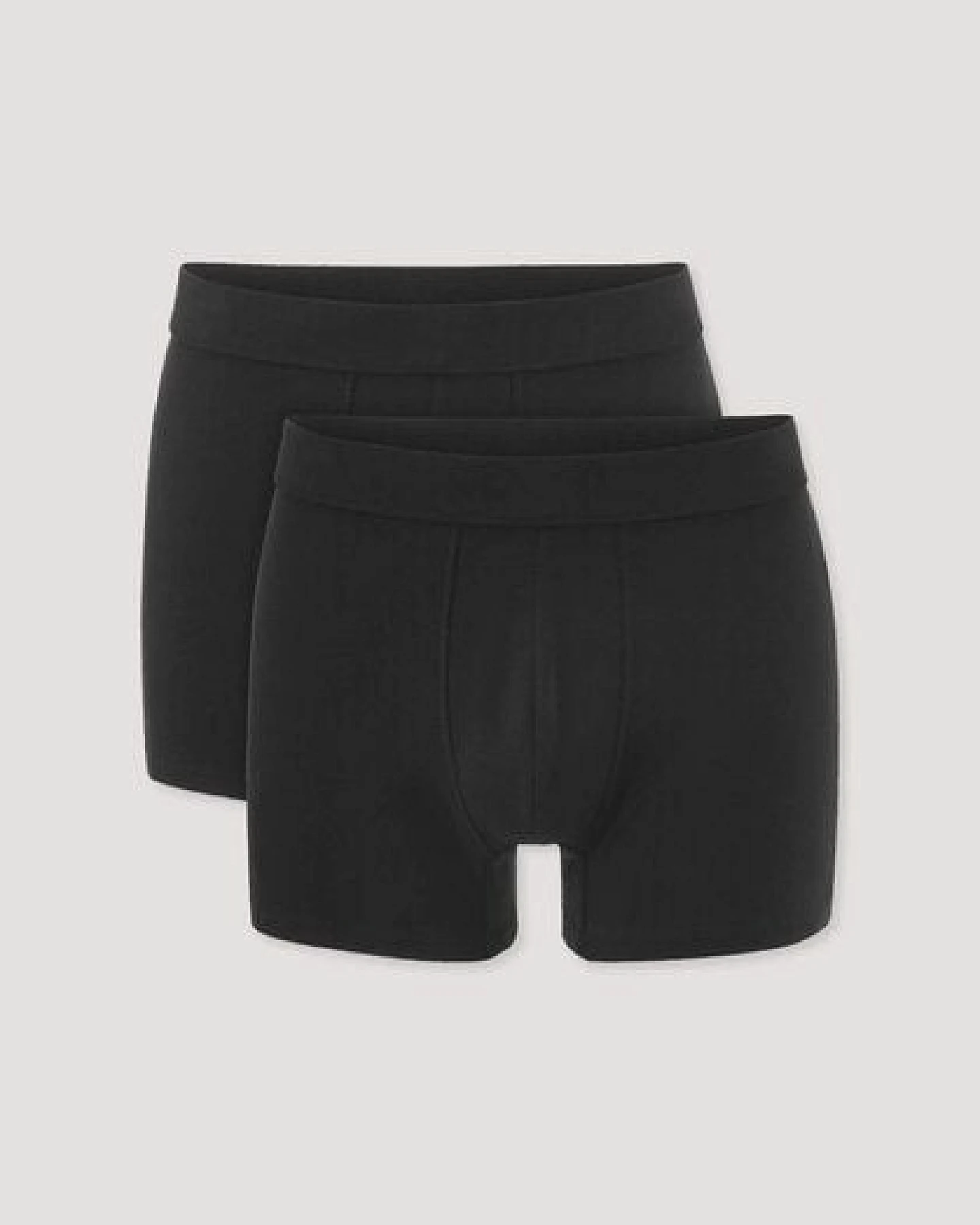 hessnatur Pants Regular Cut im 2er-Pack PURE NATURE aus reiner Bio-Baumwolle – Ansicht 4