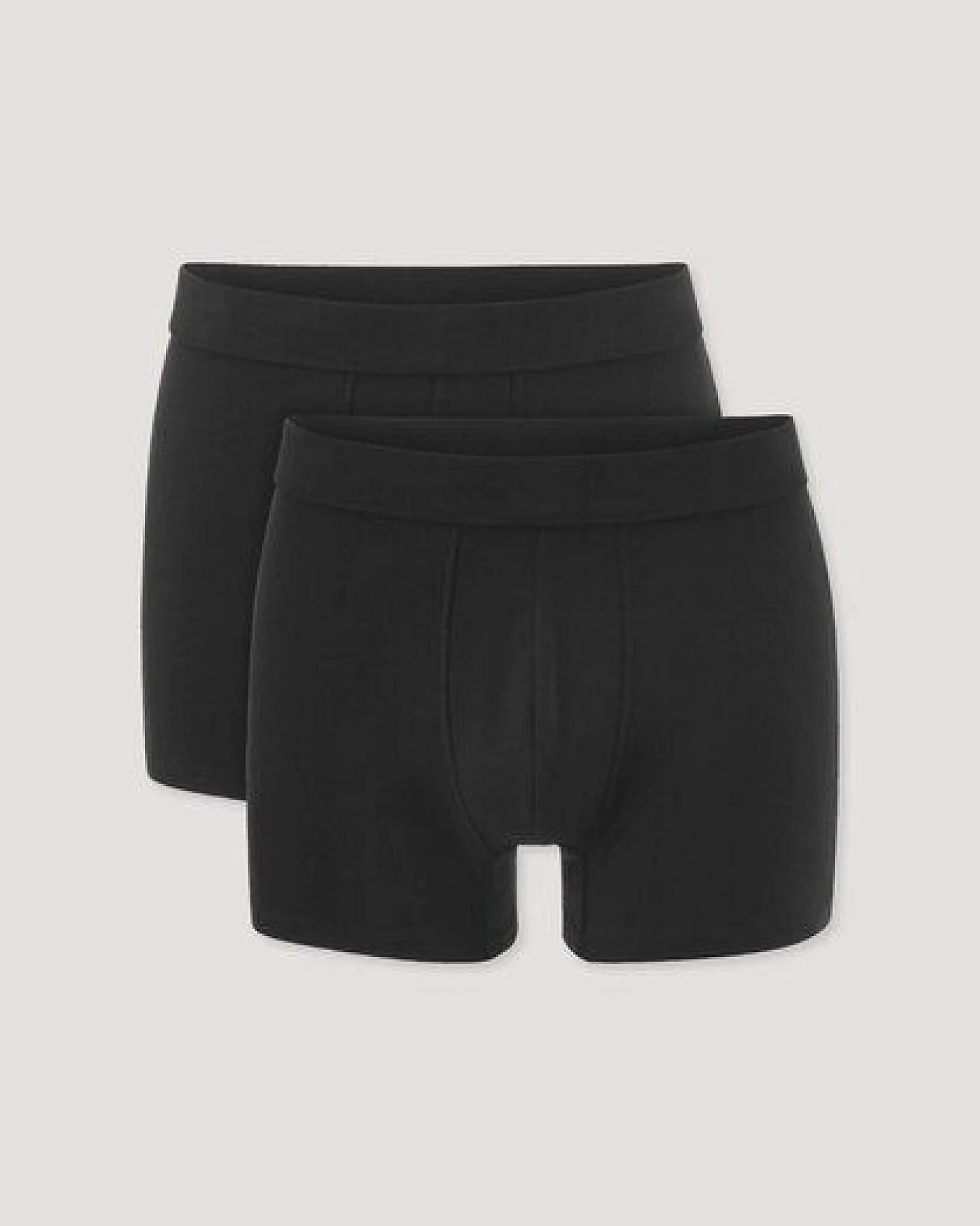hessnatur Pants Regular Cut im 2er-Pack PURE NATURE aus reiner Bio-Baumwolle – Ansicht 4